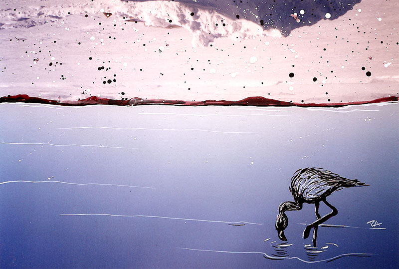 Carousel 1 (copy) (copy) (copy) (copy) (copy) (copy) (copy) (copy) (copy) (copy)