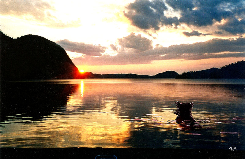 Carousel 1 (copy) (copy) (copy) (copy) (copy) (copy) (copy) (copy)