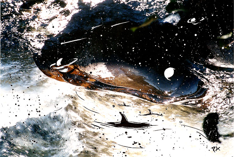 Carousel 1 (copy) (copy) (copy) (copy) (copy)