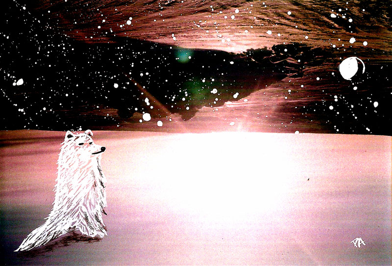 Carousel 1 (copy) (copy) (copy) (copy)